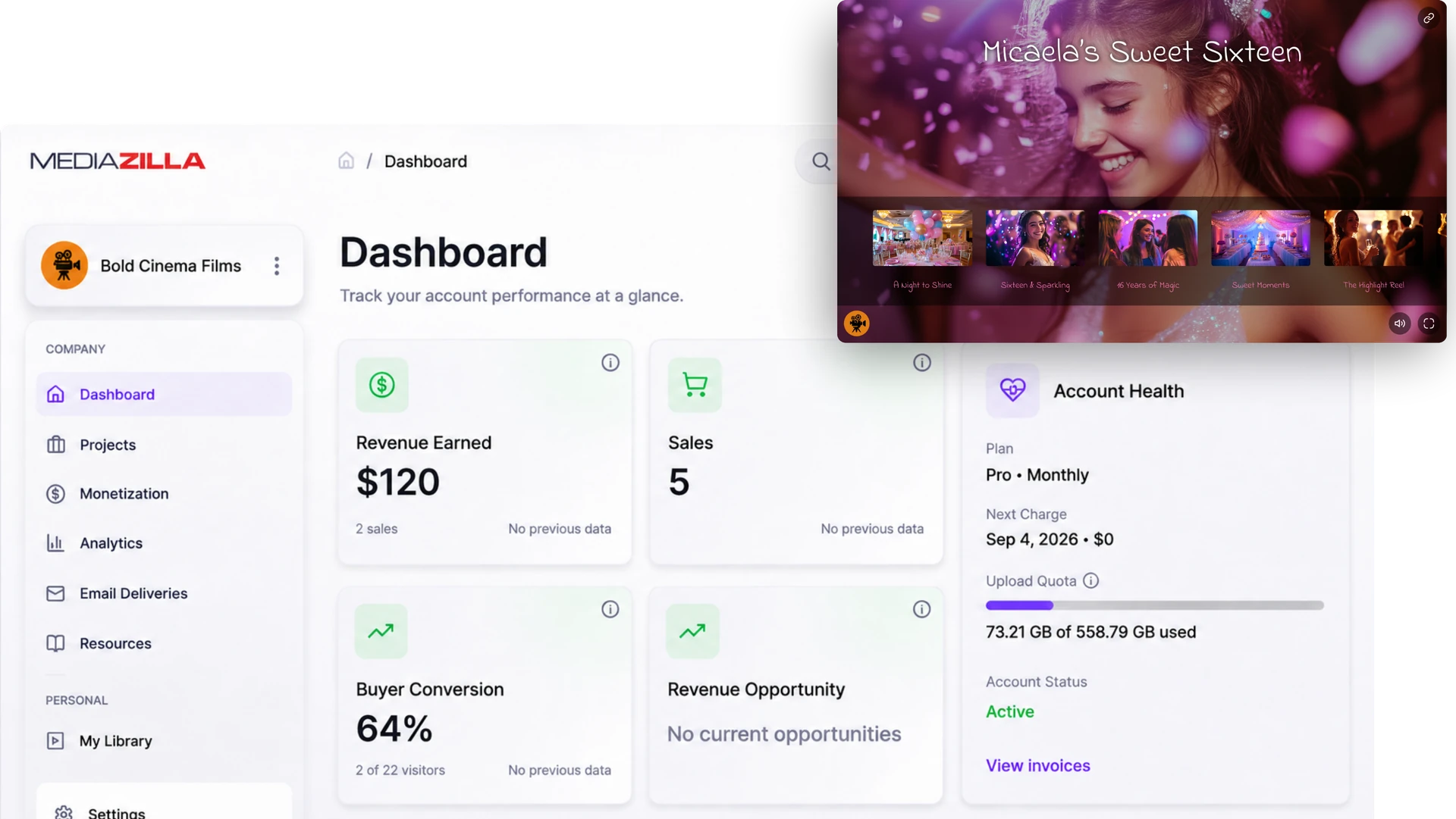 MediaZilla dashboard and branded presentation